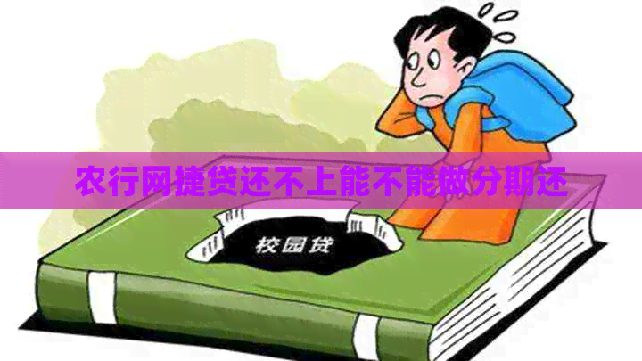 农行网捷贷还不上能不能做分期还