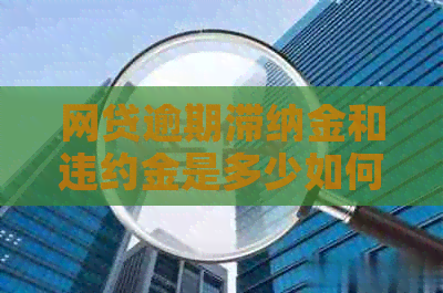 网贷逾期滞纳金和违约金是多少如何计算