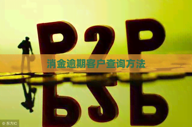消金逾期客户查询方法