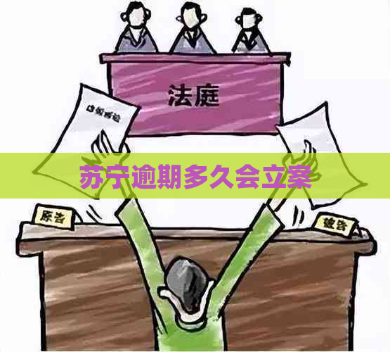 苏宁逾期多久会立案