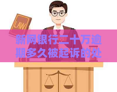 新网银行二十万逾期多久被起诉的处理方式