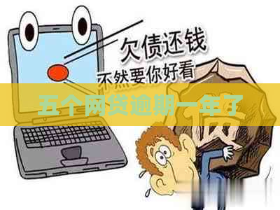 五个网贷逾期一年了