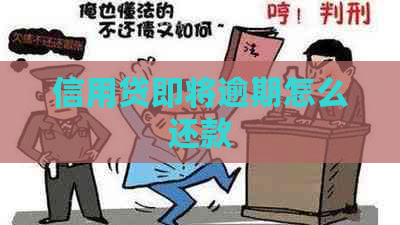 信用贷即将逾期怎么还款