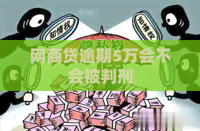 白条贷逾期5万会不会被判刑