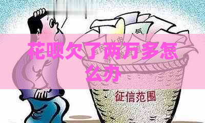 白条欠了两万多怎么办