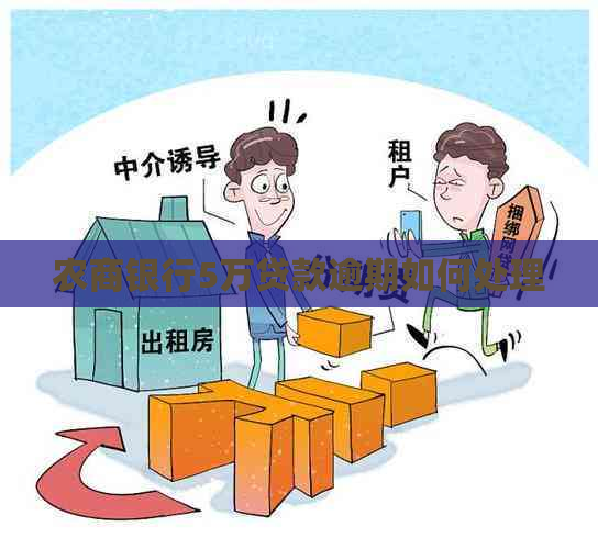 农商银行5万贷款逾期如何处理