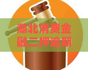 湖北消费金融二押逾期的处理方法