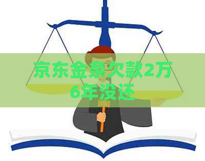 京东金条欠款2万6年没还
