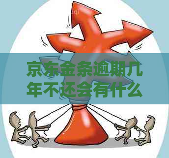 京东金条逾期几年不还会有什么后果