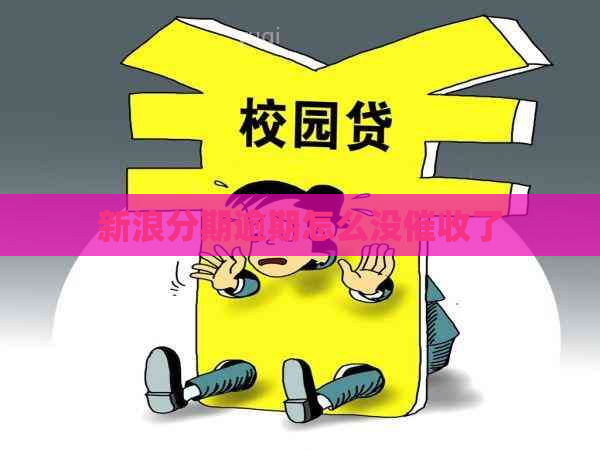 新浪分期逾期怎么没了
