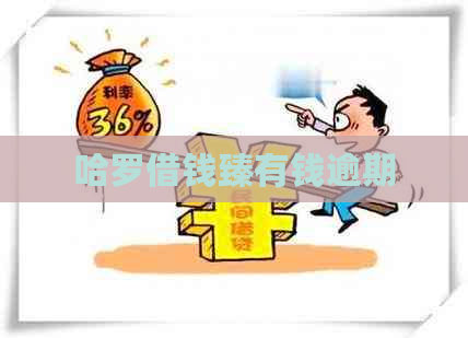 哈罗借钱臻有钱逾期
