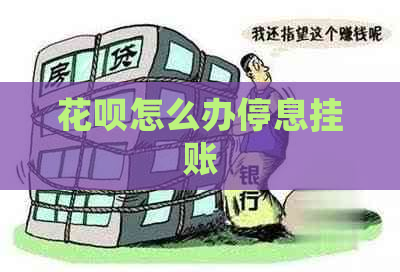 白条怎么办停息挂账