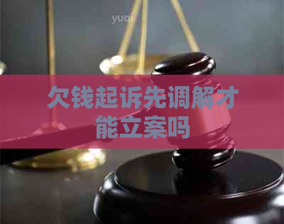 欠钱起诉先调解才能立案吗