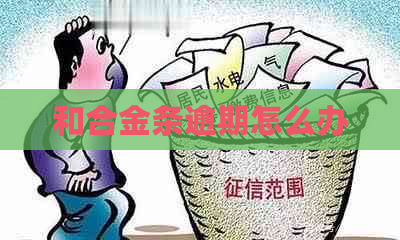 和合金条逾期怎么办
