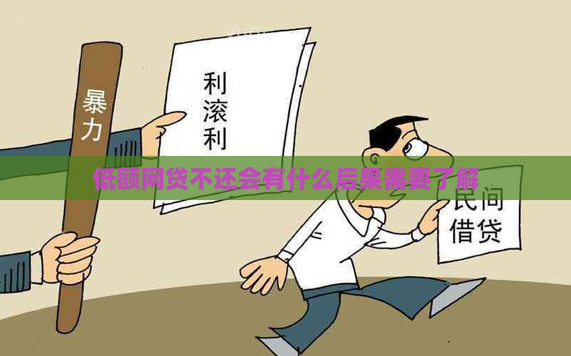 低额网贷不还会有什么后果需要了解