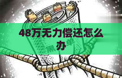 48万无力偿还怎么办