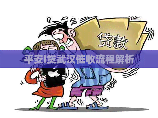 平安i贷武汉流程解析