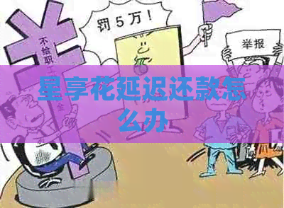 星享花延迟还款怎么办