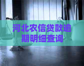 河北农信贷款逾期明细查询