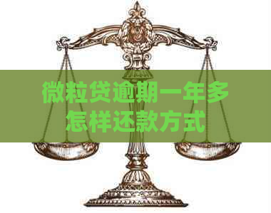 微粒贷逾期一年多怎样还款方式