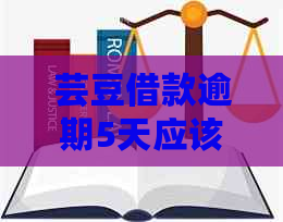 芸豆借款逾期5天应该怎么处理