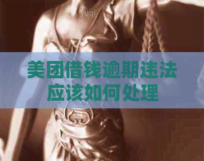 美团借钱逾期违法应该如何处理