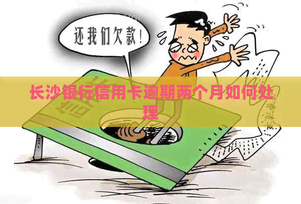 长沙银行信用卡逾期两个月如何处理