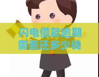 闪电借款逾期需要还多少钱