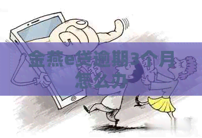 金燕e贷逾期3个月怎么办