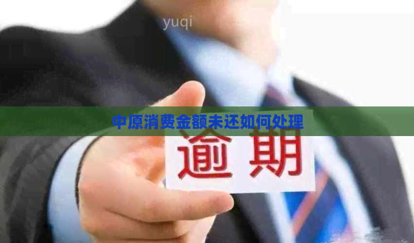 中原消费金额未还如何处理