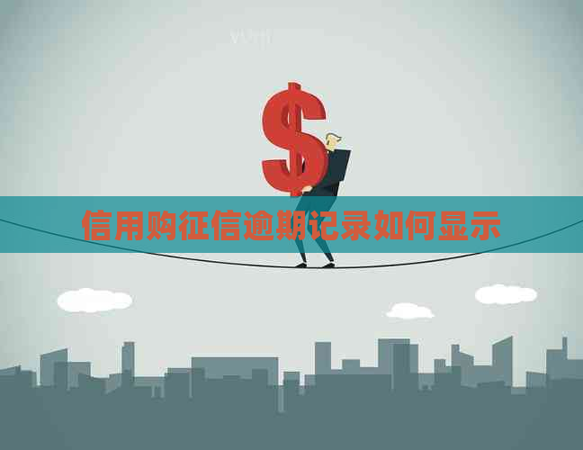 信用购逾期记录如何显示