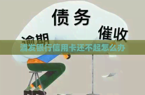 浦发银行信用卡还不起怎么办