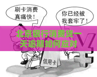 北京银行消费贷一天逾期如何应对