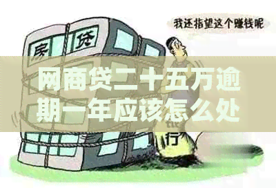 白条贷二十五万逾期一年应该怎么处理