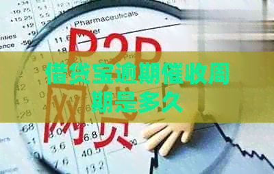 借贷宝逾期周期是多久