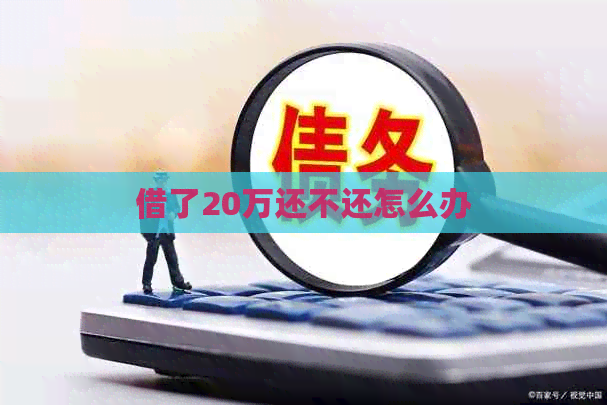 借了20万还不还怎么办