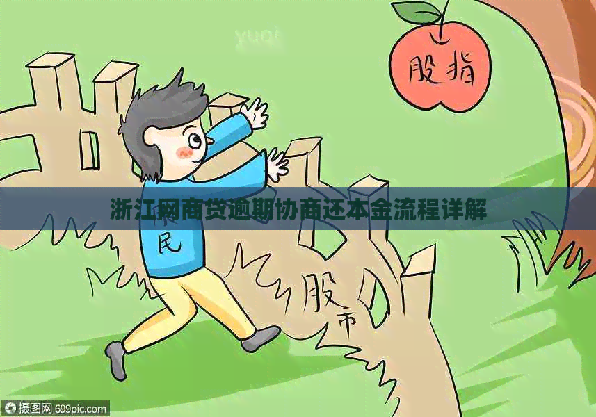 浙江白条贷逾期协商还本金流程详解