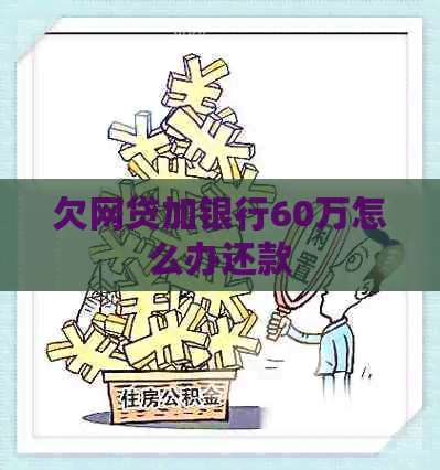 欠网贷加银行60万怎么办还款