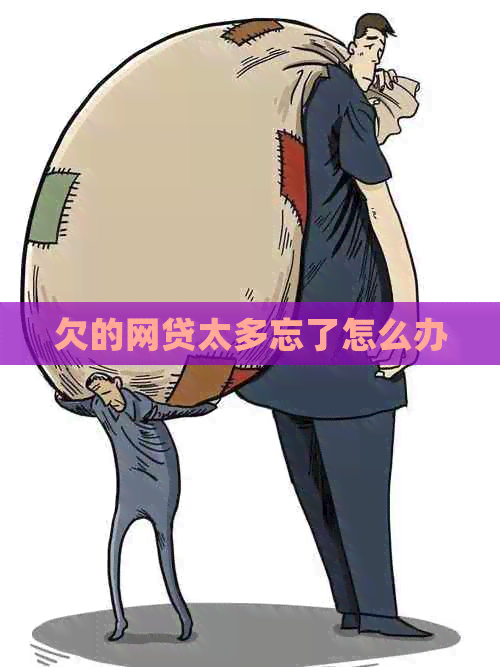 欠的网贷太多忘了怎么办
