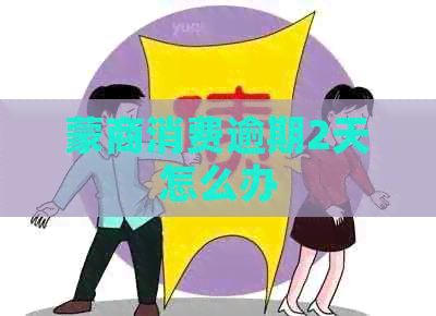 蒙商消费逾期2天怎么办