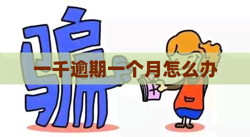 一千逾期一个月怎么办