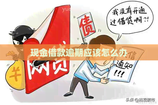 现金借款逾期应该怎么办