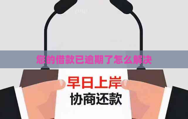 您的借款已逾期了怎么解决