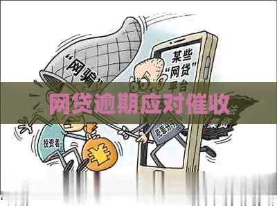 网贷逾期应对