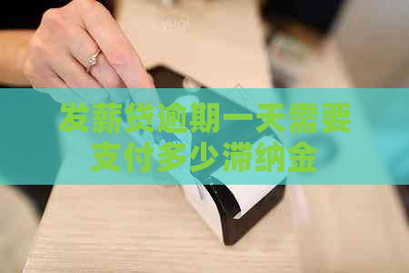 发薪贷逾期一天需要支付多少滞纳金