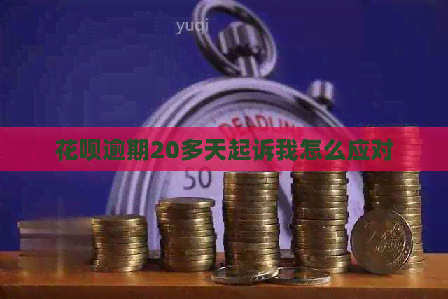白条逾期20多天起诉我怎么应对