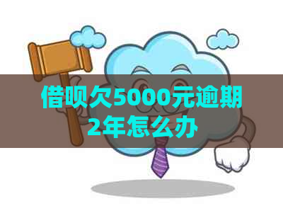信用卡欠5000元逾期2年怎么办