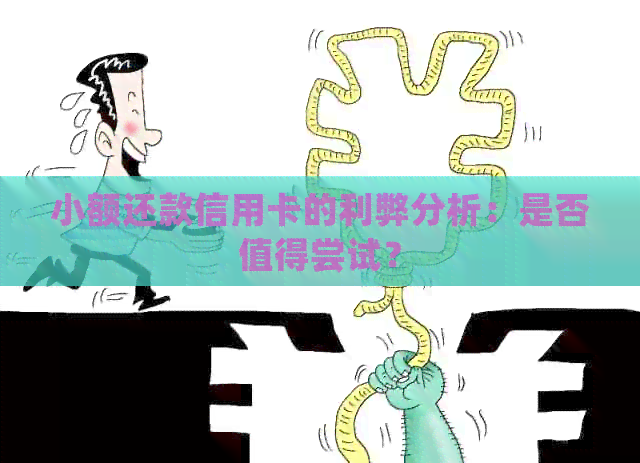 小额还款信用卡的利弊分析：是否值得尝试？