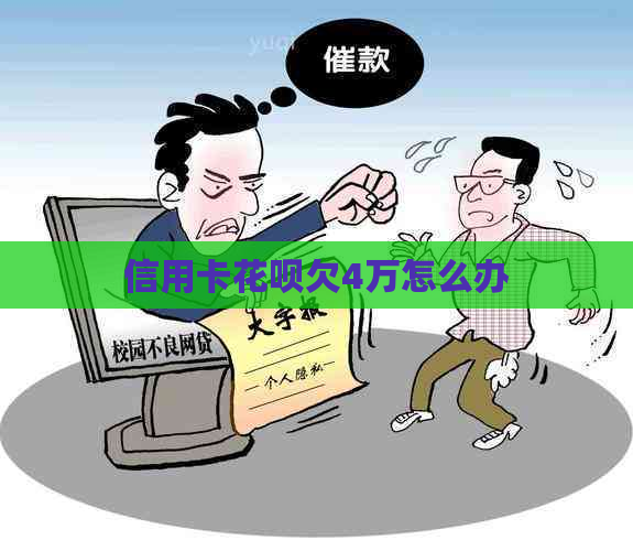 信用卡白条欠4万怎么办