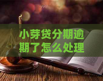 小芽贷分期逾期了怎么处理